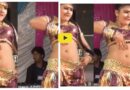 Gori Nagori sexy dance : गोरी नागोरी के सेक्सी ठुमको ने मचा दिया हंगामा, बेकाबू हुए नौजवान और बूढ़े, वायरल हो रहा है वीडियो