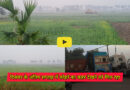 Sheikhpura weather: शुरू हो गया कोहरे कहर, वाहन चालक परेशान
