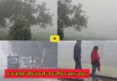 Sheikhpura weather: देर रात से शुरू दोपहर बाद तक छाए कोहरे के कारण जिले का जगजीवन पूरी तरह अस्त-व्यस्त