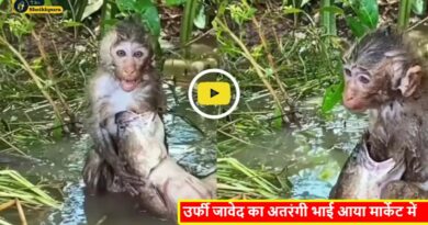 Monkey And Fish Video Viral