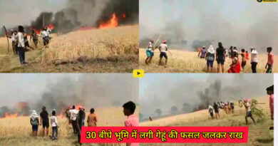 Ariyari Block: बिजली के शॉट सर्किट से लगी आग से 30 बीघे भूमि में लगी गेहूं की फसल जलकर राख