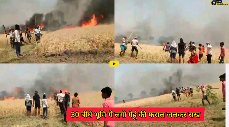 Ariyari Block: बिजली के शॉट सर्किट से लगी आग से 30 बीघे भूमि में लगी गेहूं की फसल जलकर राख