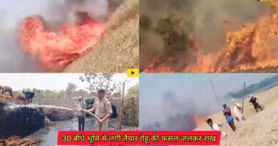 Mehus thana: बिजली के शॉट सर्किट से लगी आग से 30 बीघे भूमि में लगी तैयार गेहूं की फसल जलकर राख