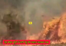 Korma thana: आग लगने से डेढ़ बीघा भूमि में लगी गेहूं की फसल जलकर राख