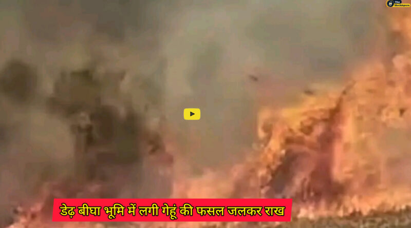 Korma thana: आग लगने से डेढ़ बीघा भूमि में लगी गेहूं की फसल जलकर राख